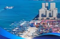具身智能领跑,低空经济腾飞—— 新华社聚焦广东新质生产力
